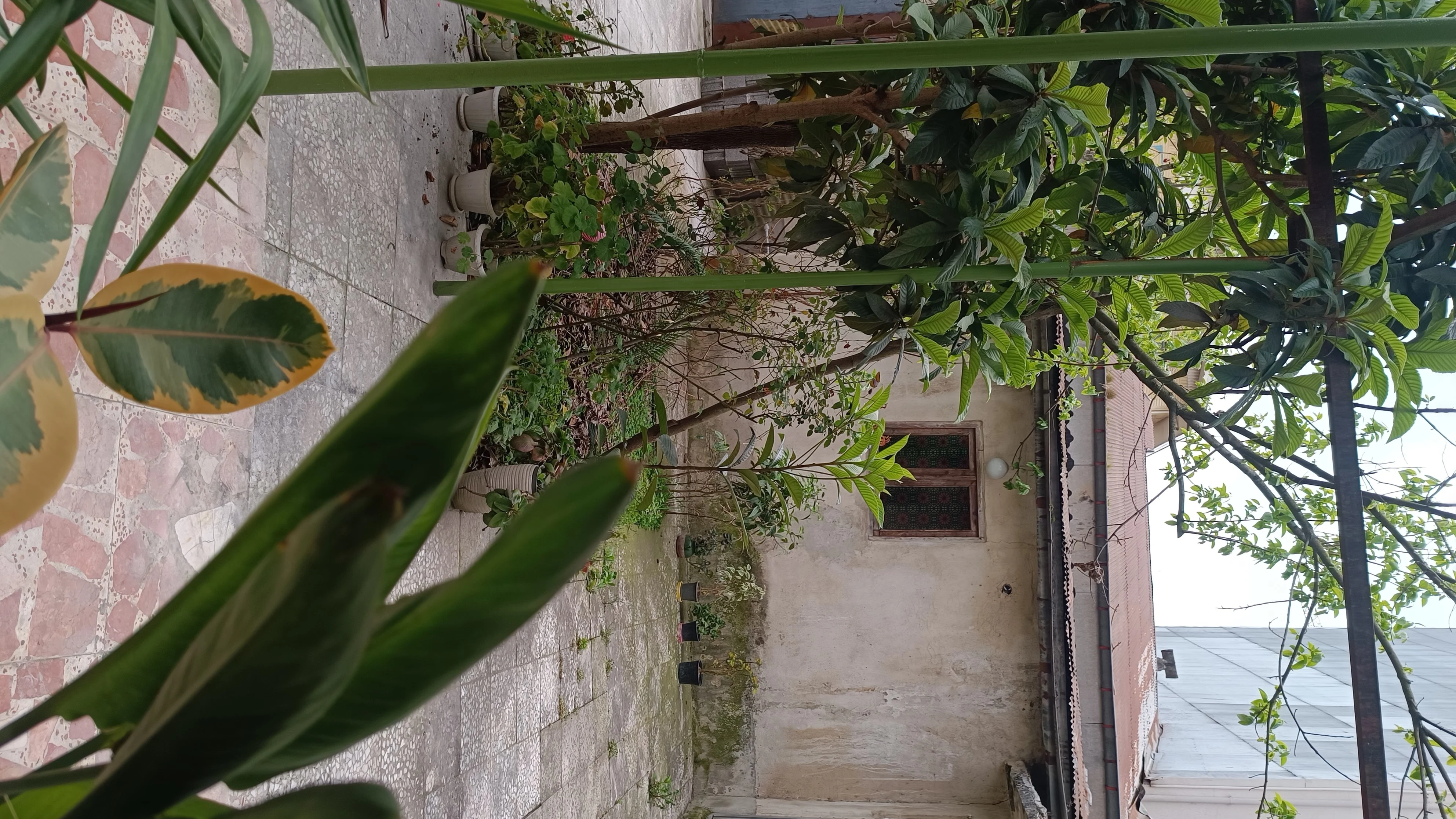 کارگاه سرامیک نارنگی - تصویر 3