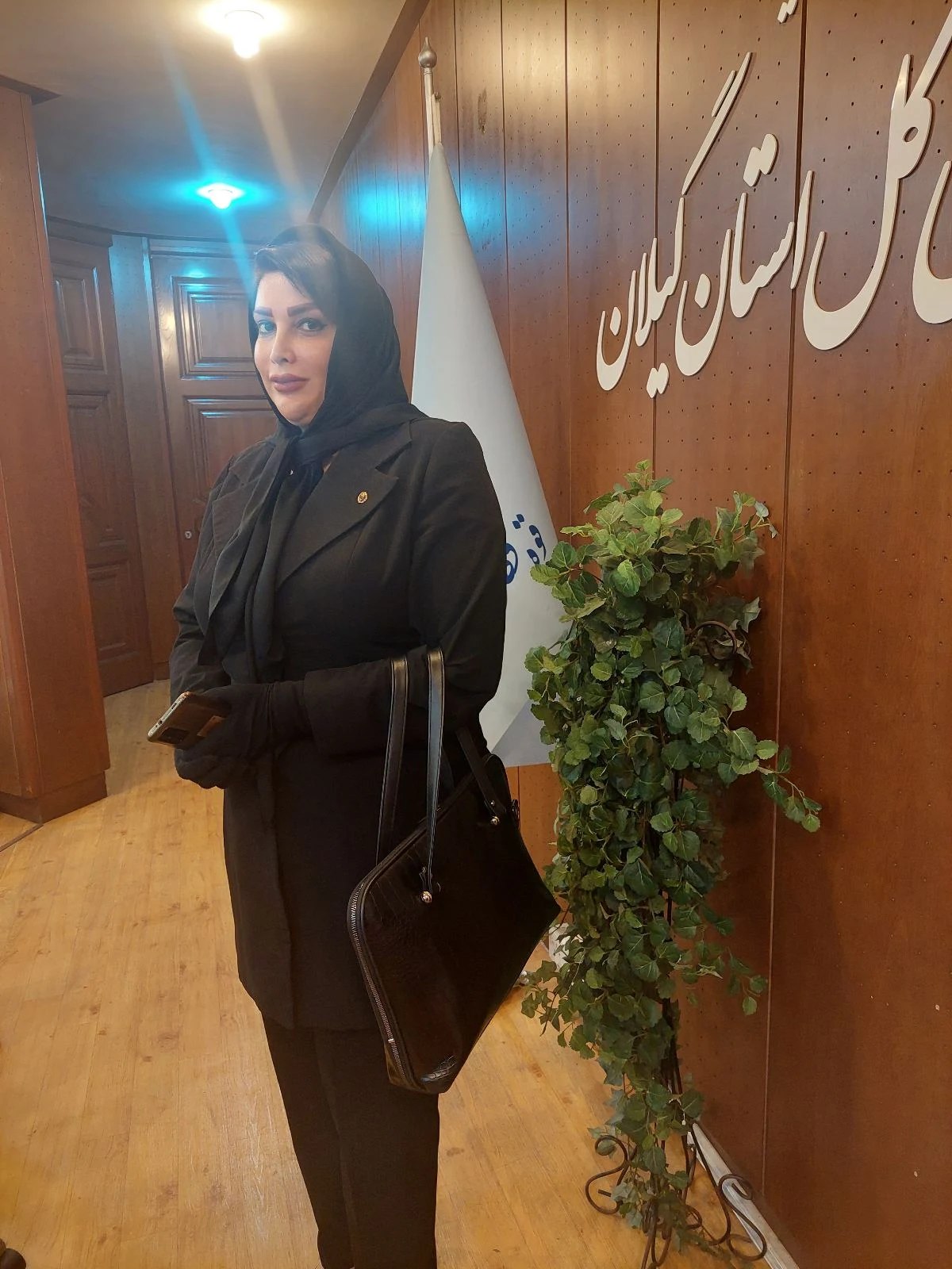 وکیل رسمی دادگستری زهرا محافظت کار ابدی - تصویر 5