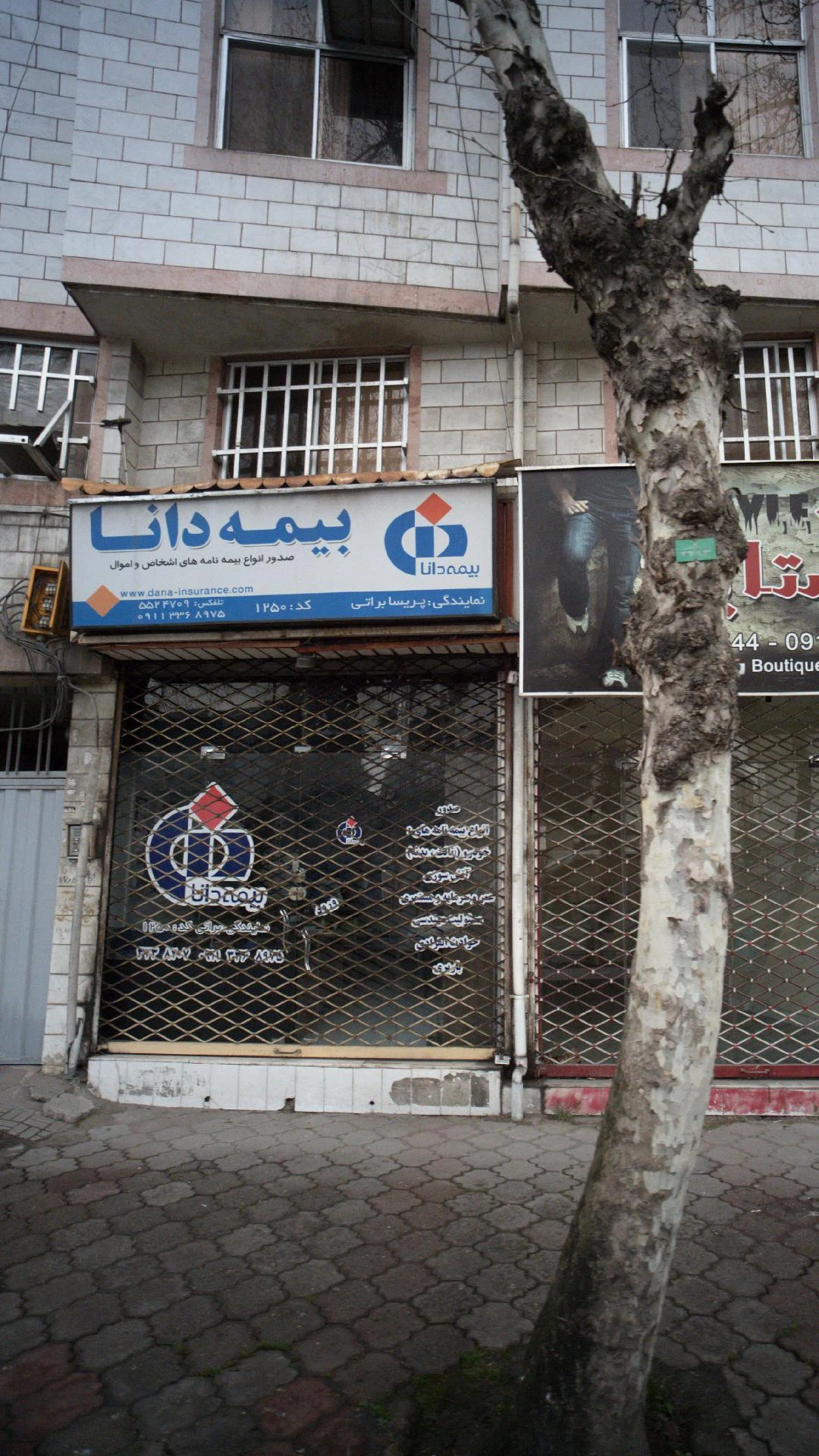 شرکت بیمه دانا نمایندگی نوروزی کد ۹۹۷۲ - تصویر 2