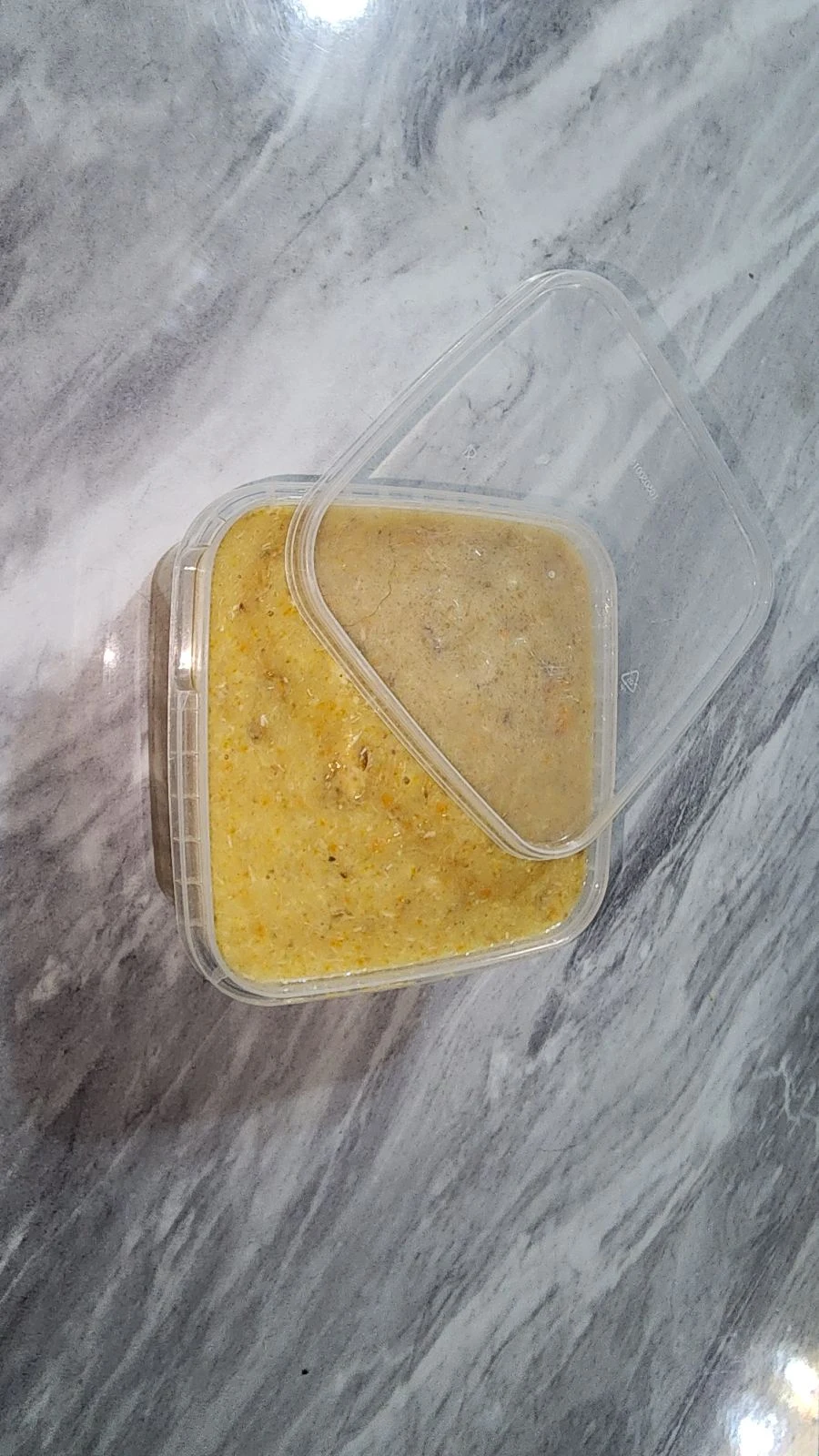 غذای خانگی مخصوص سگ و گربه
