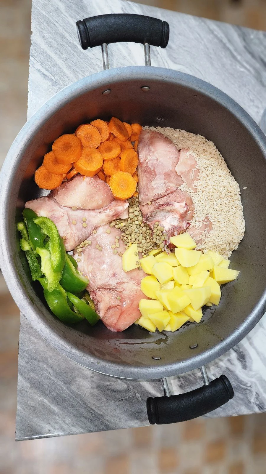 غذای خانگی مخصوص سگ و گربه - تصویر 2