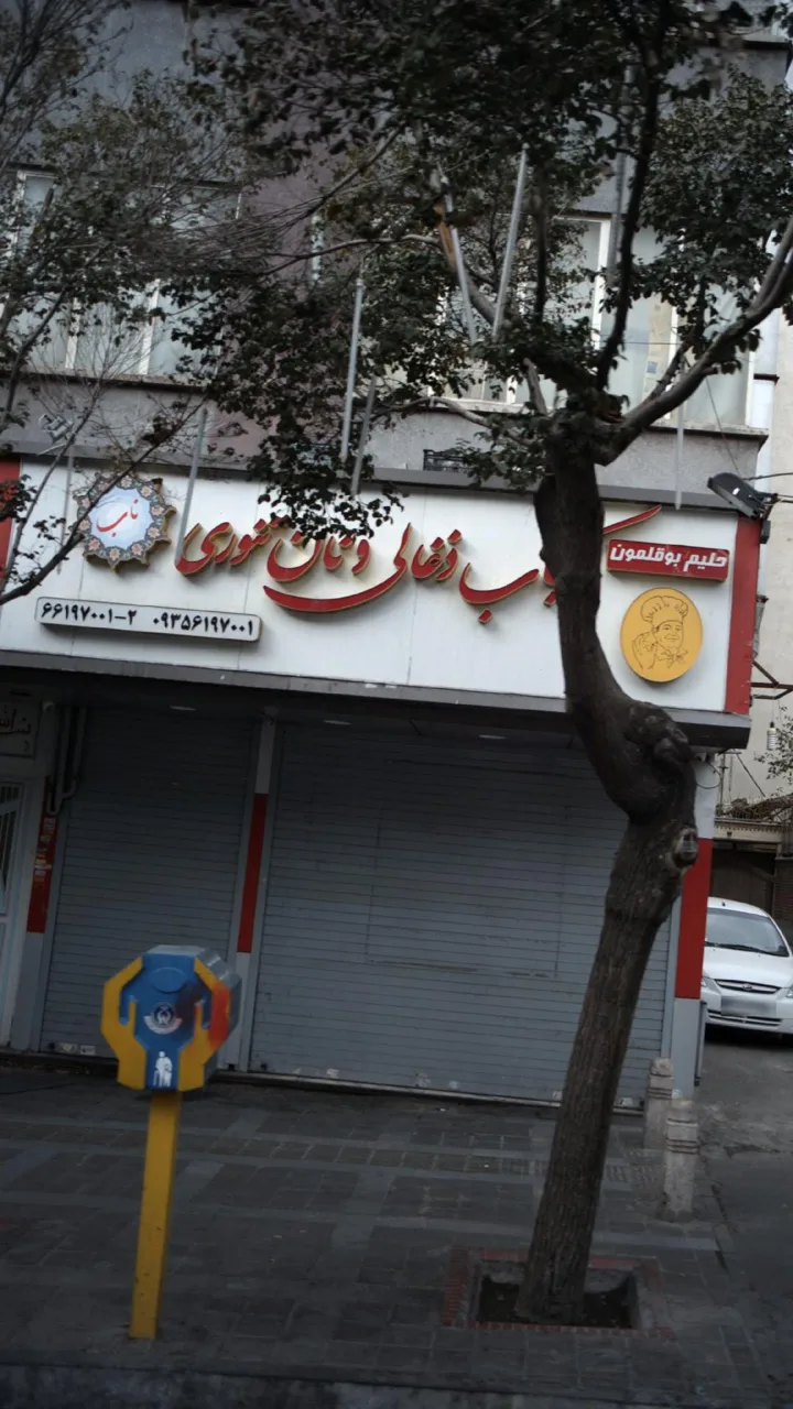 کباب ذغالی و نان تنوری ناب - تصویر 3