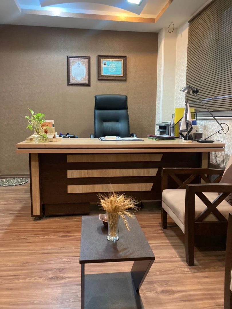 نسیم باقری وکیل پایه یک دادگستری - تصویر 2