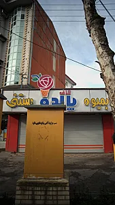 کافه بستنی و ابمیوه پالدو 
