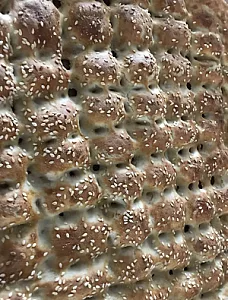 نانوایی