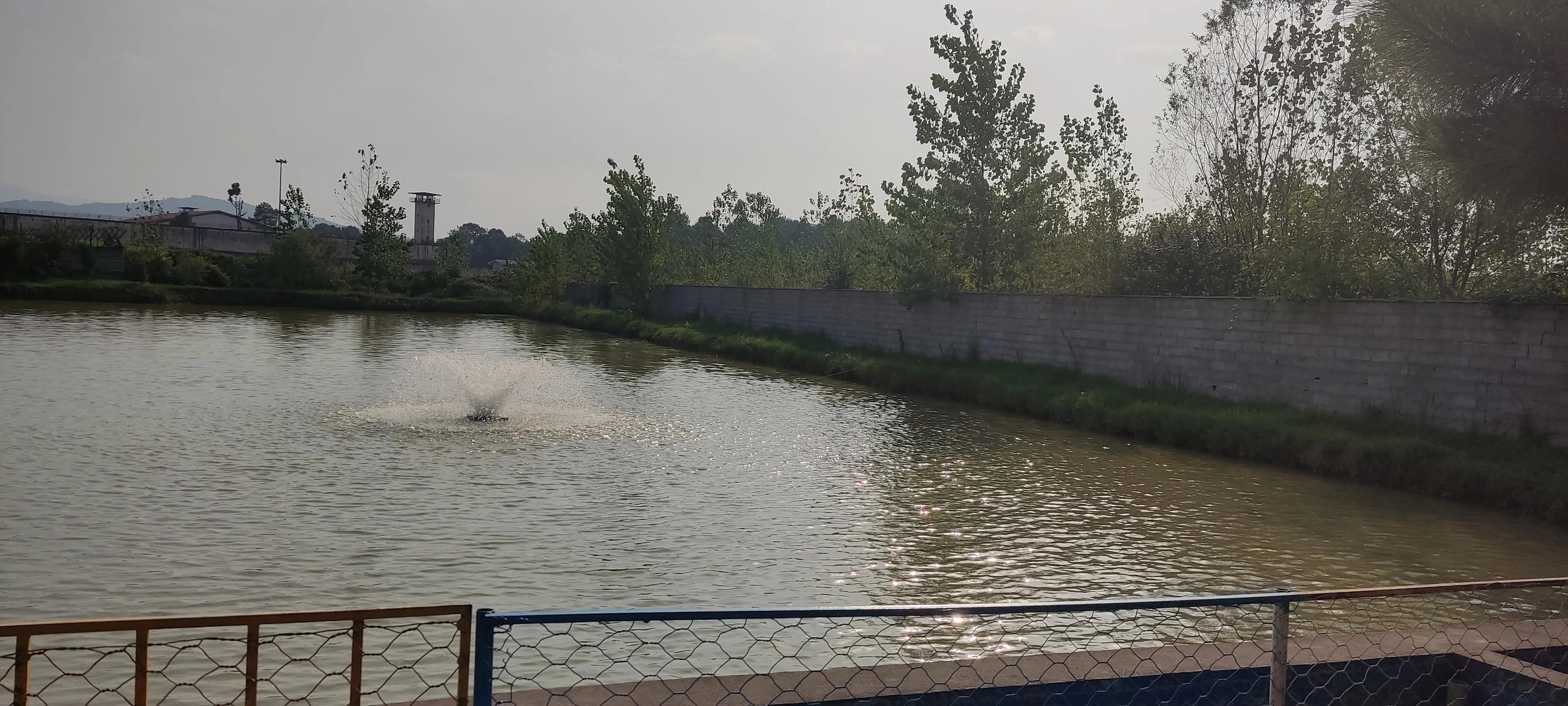 رستوران و قلیان سرای دایی عباس - تصویر 2