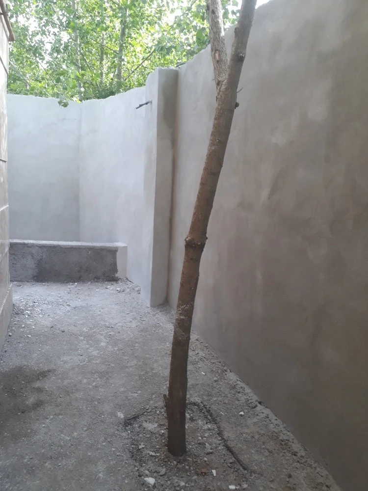 رسول بادودم