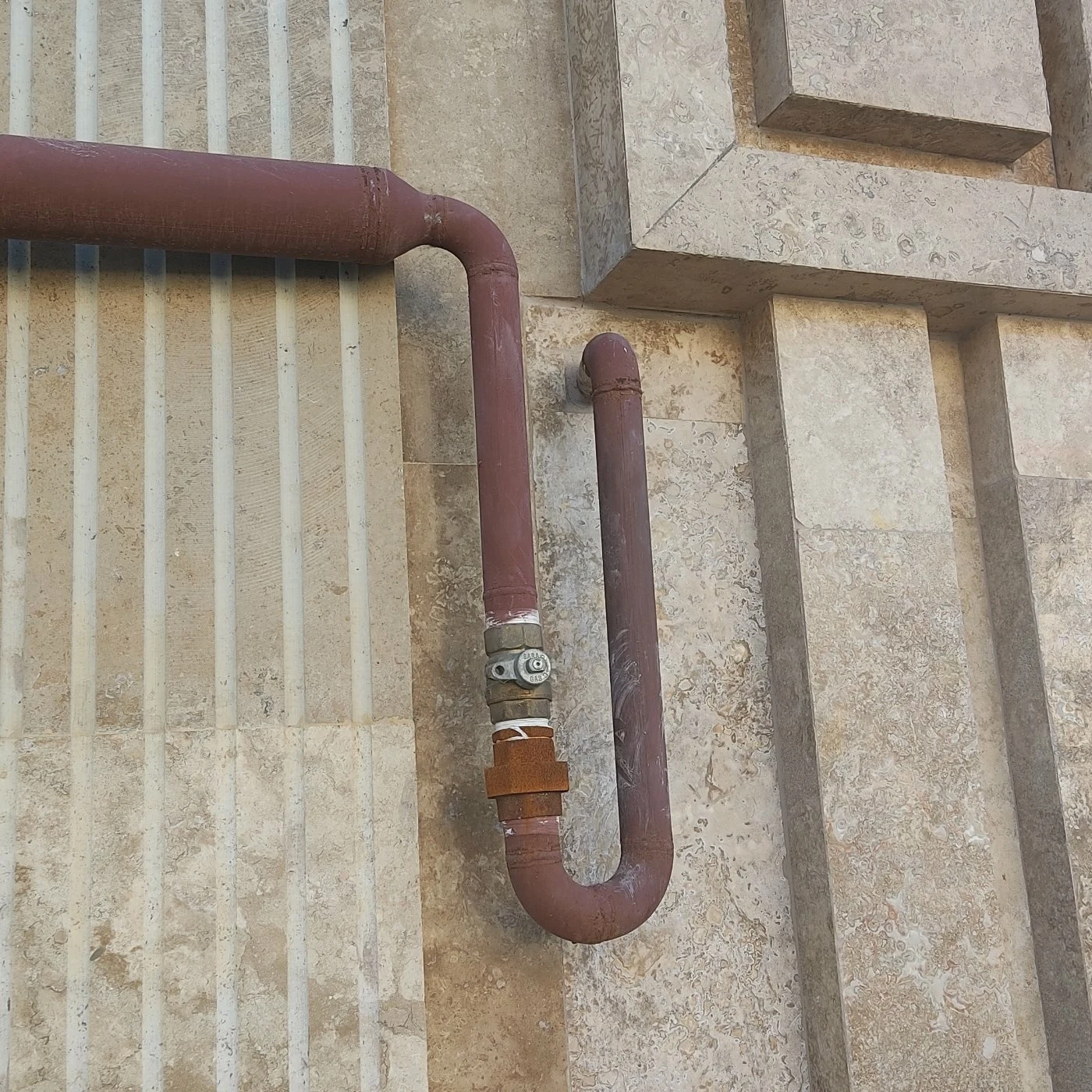 شعائل گازگیل - تصویر 2