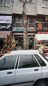 موسسه کرایه اتومبیل شهرسبز