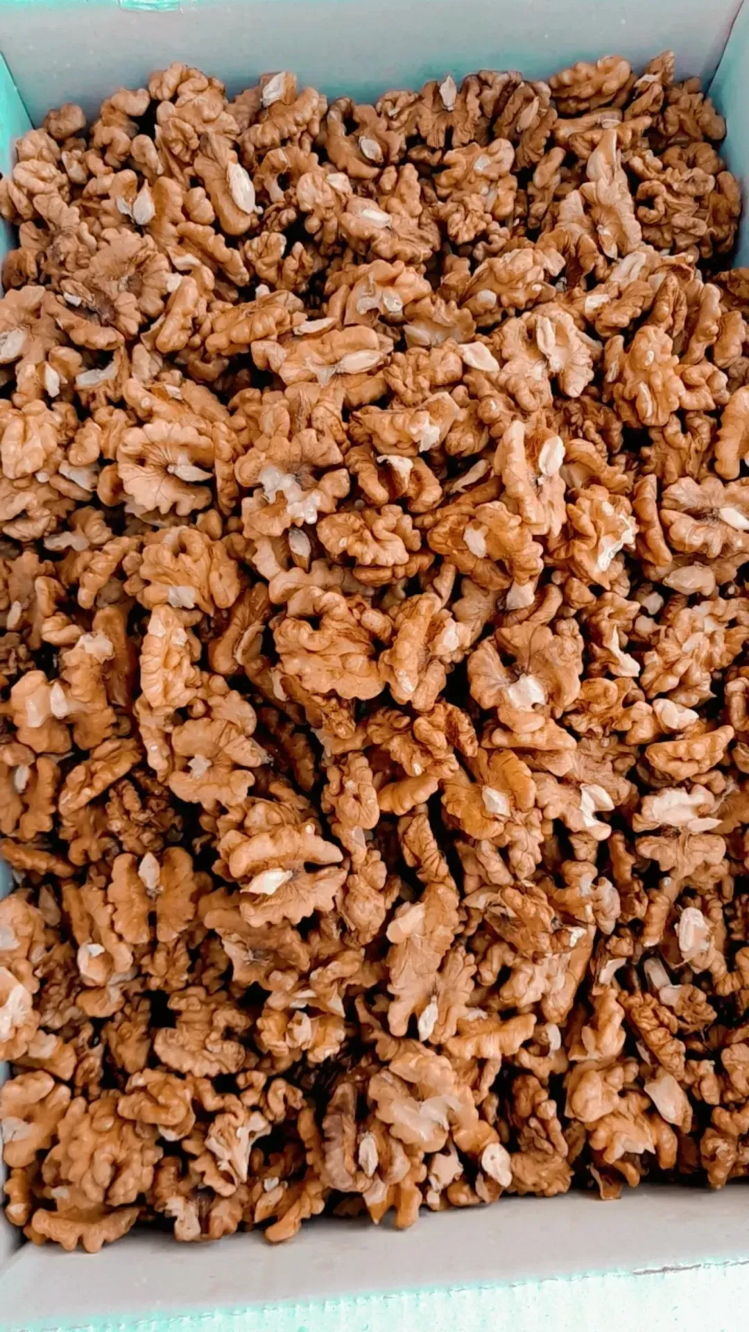 آجیل وخشکبار شهر گردو - تصویر 2