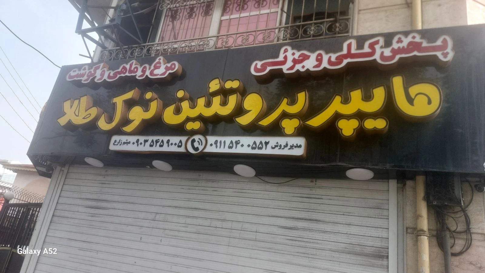 پخش مرغ و تخم مرغ نوک طلا
