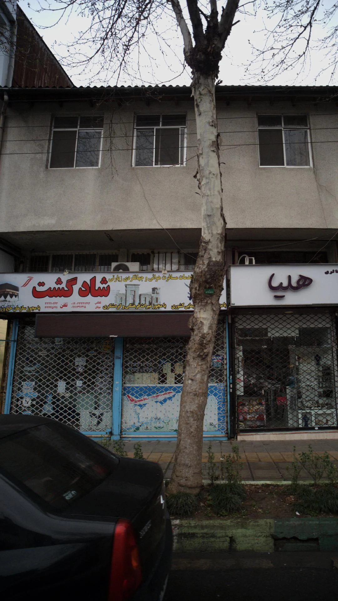 شاد گشت