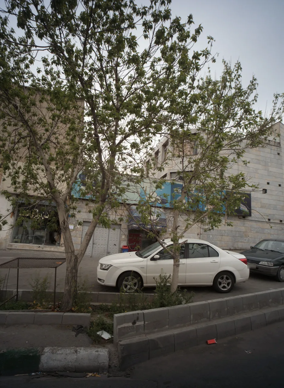 نان بربری اتحاد
