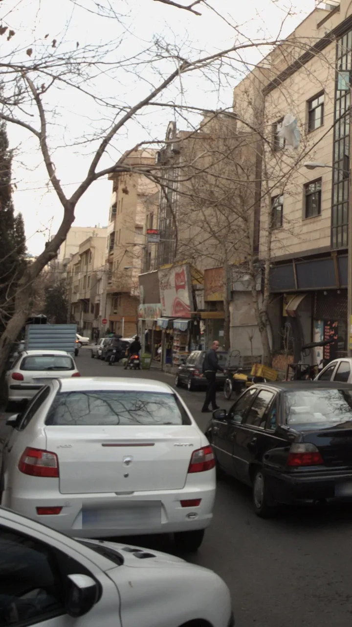 سوپر نان تک دانیال - تصویر 3