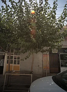 نان برکت مسجدی