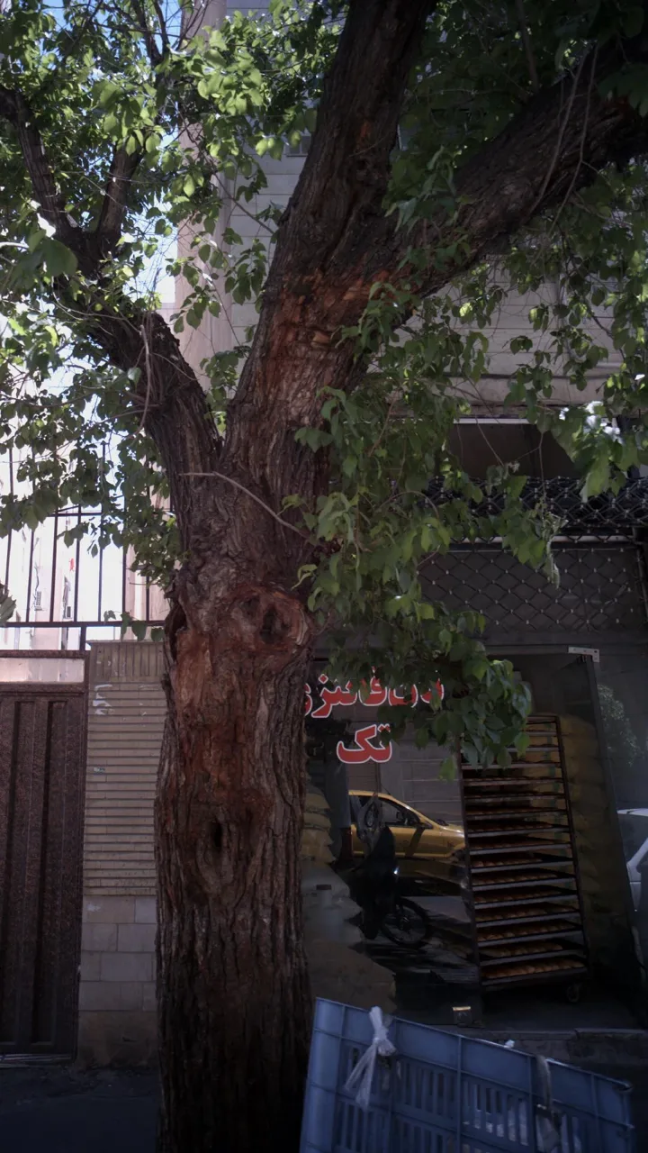 نان فانتزی تک - تصویر 2
