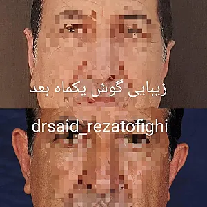 دکتر سعید رضاتوفیقی