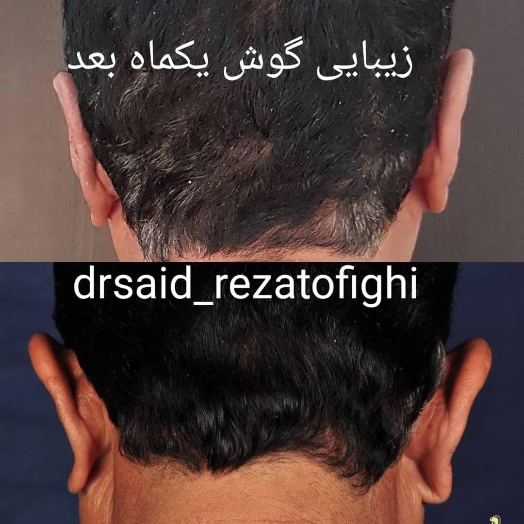 دکتر سعید رضاتوفیقی - تصویر 2