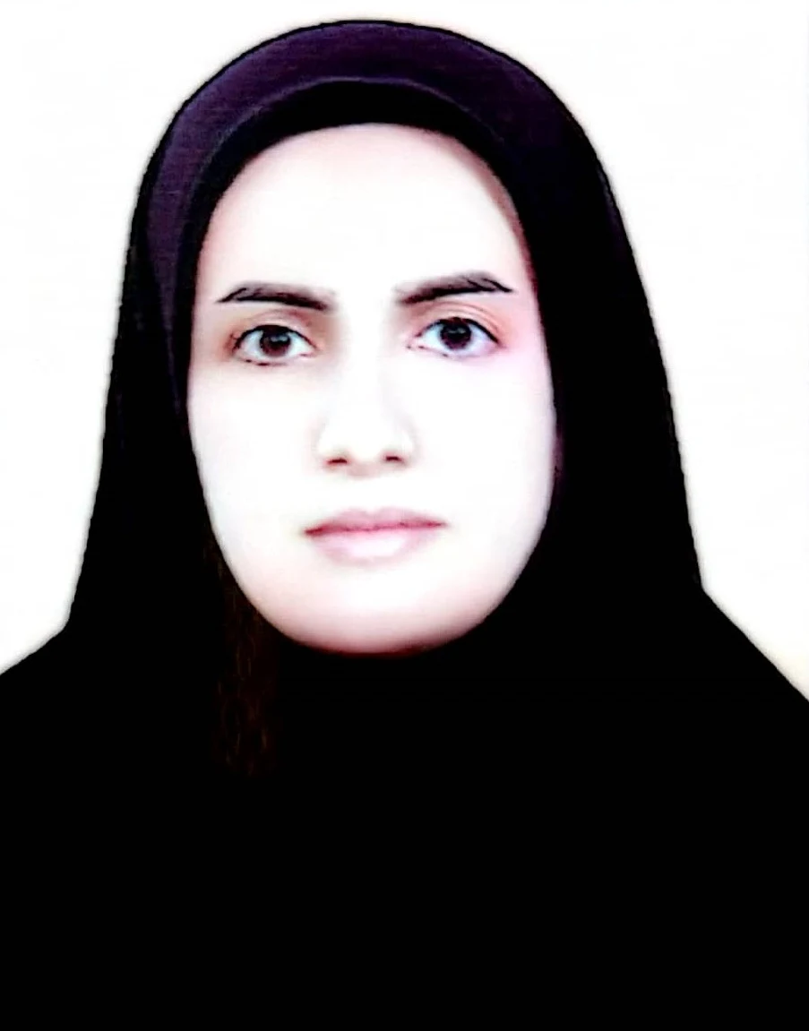 وکیل نجمه حمیدی دشت ارژنه - دفتر وکالت در شیراز