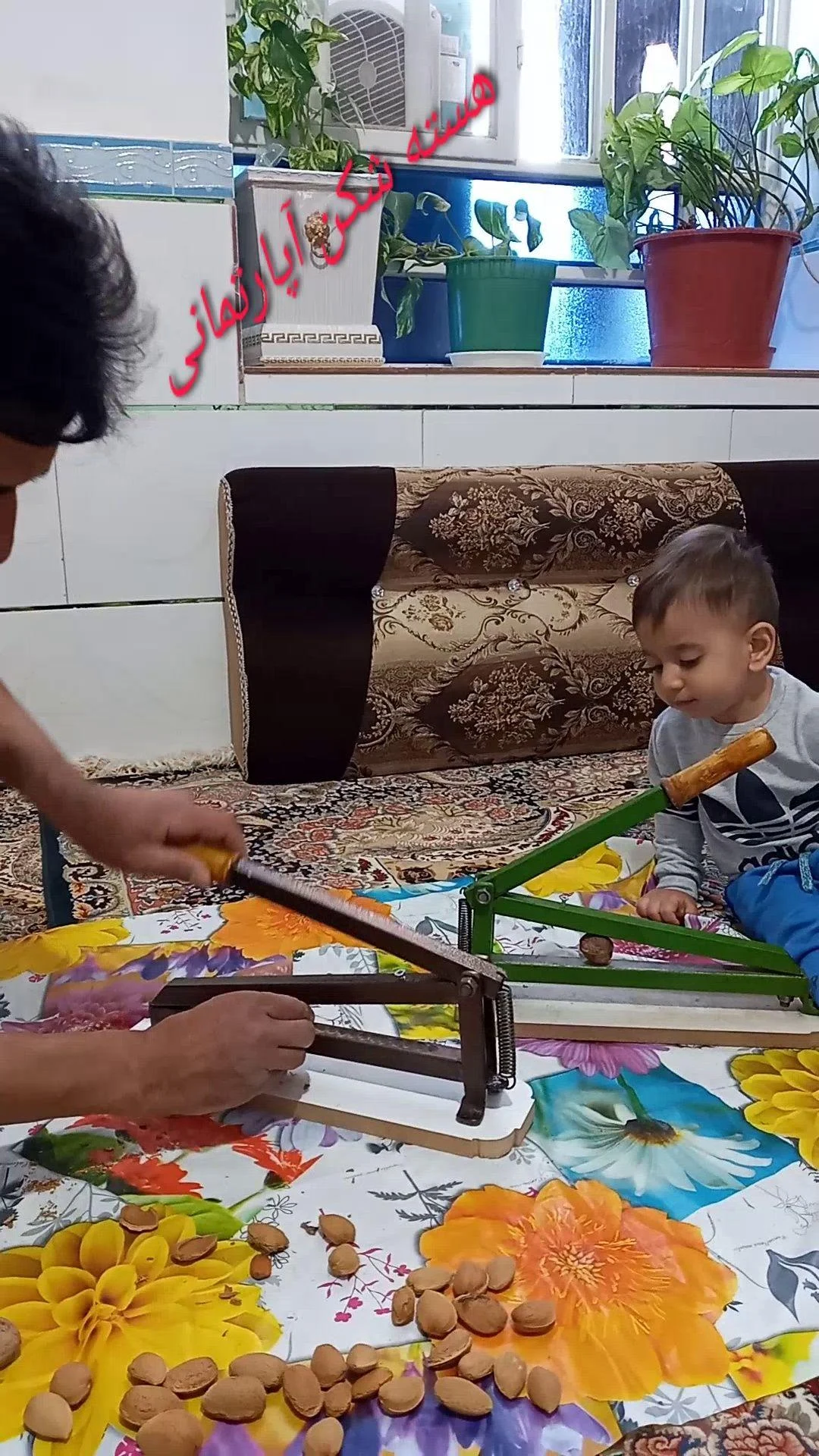 گردوشکن بادام شکن هسته شکن دستی آپارتمان - تصویر 2