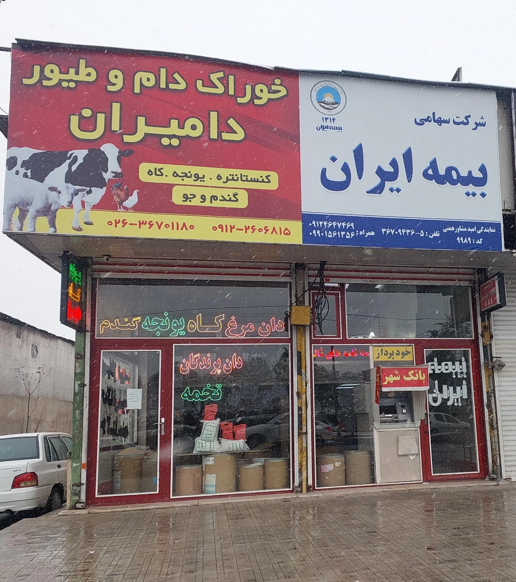خدمات کشاورزی رایکا - کشاورزی و دامداری در کرج - تصویر 2