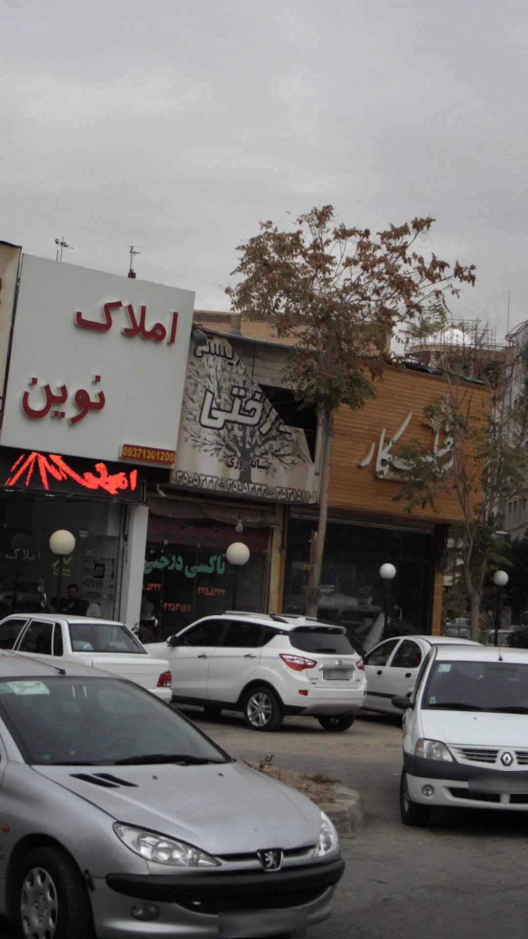 تاکسی درختی شبانه روزی