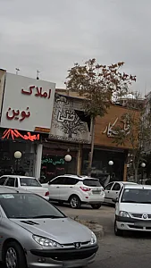 تاکسی درختی شبانه روزی