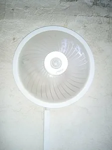 مسعود گرشاسبی