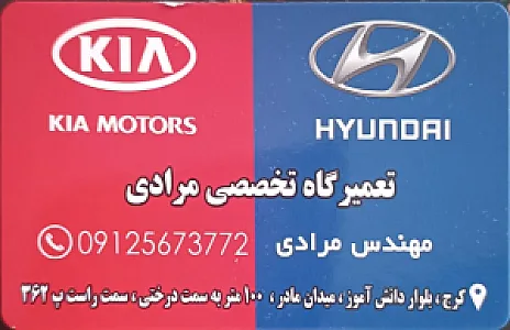 دوزندگی اتومبیل ناصر