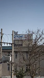تالار و رستوران یزدان