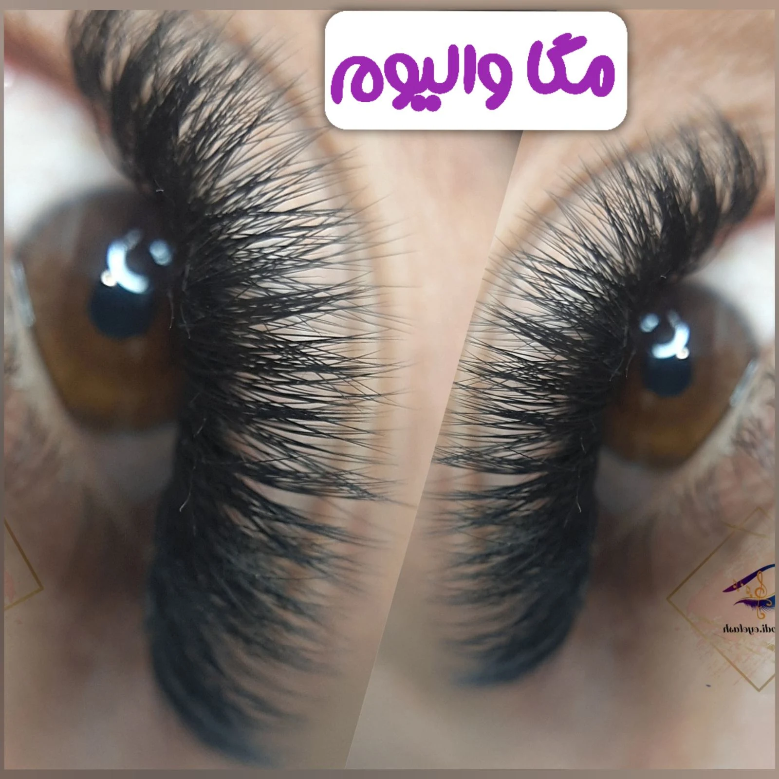 اکستنشن مژه و اکستنشن ابرو ،لیفت و لمینت مژه و ابرو - آرایشگاه زنانه در کرج - تصویر 4