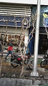 کتاب‌فروشی اوستا
