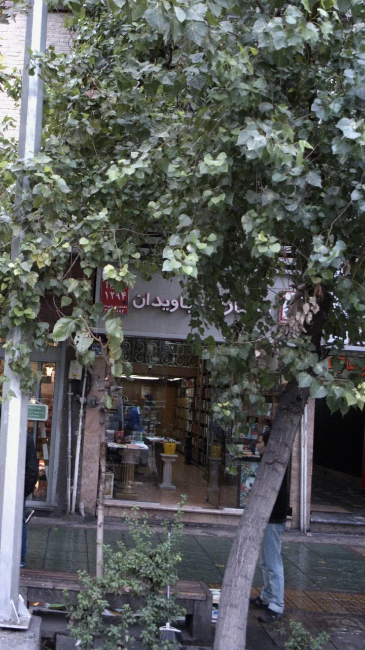 کتاب‌فروشی جاویدان - تصویر 2