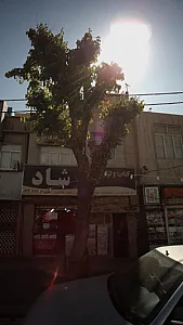 کتاب و لوازم التحریر شاد
