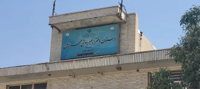دبستان پسرانه دی