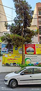 دبستان پسرانه غیردولتی آداب