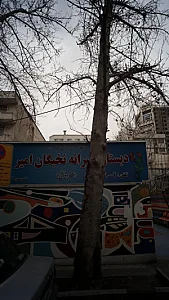 دبستان پسرانه نخبگان امیر کبیر