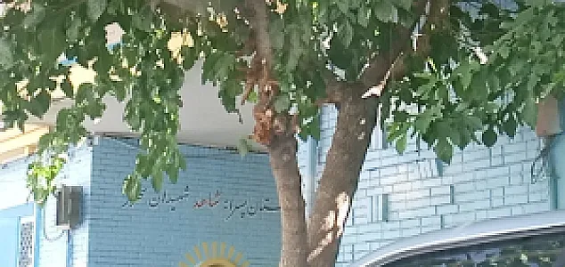 دبستان پسرانه شاهد شهیدان سخنور