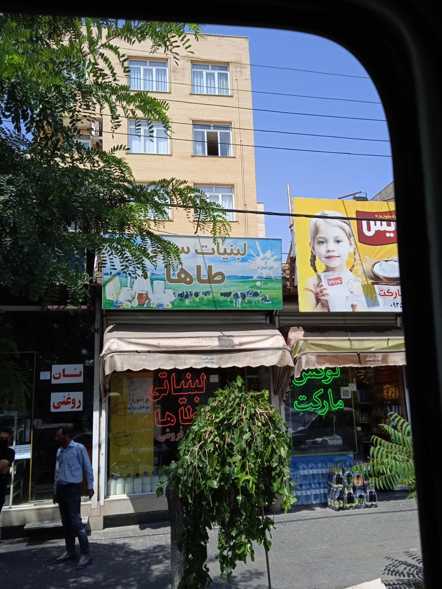 لبنیاتی پژمان - لبنیاتی در تبریز
