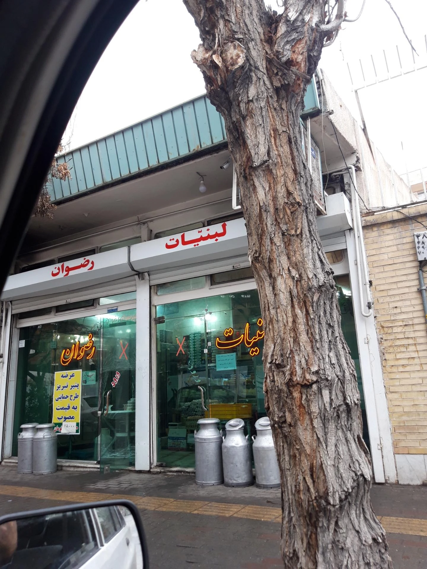 لبنیاتی پژمان - لبنیاتی در تبریز - تصویر 2
