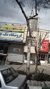 فروشگاه امیران