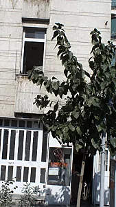 قفل و کلید سازی
