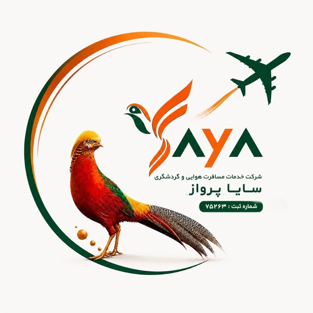 خدمات مسافرتی و گردشگری سایا پرواز