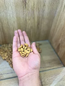 خشکبار شاه بادام