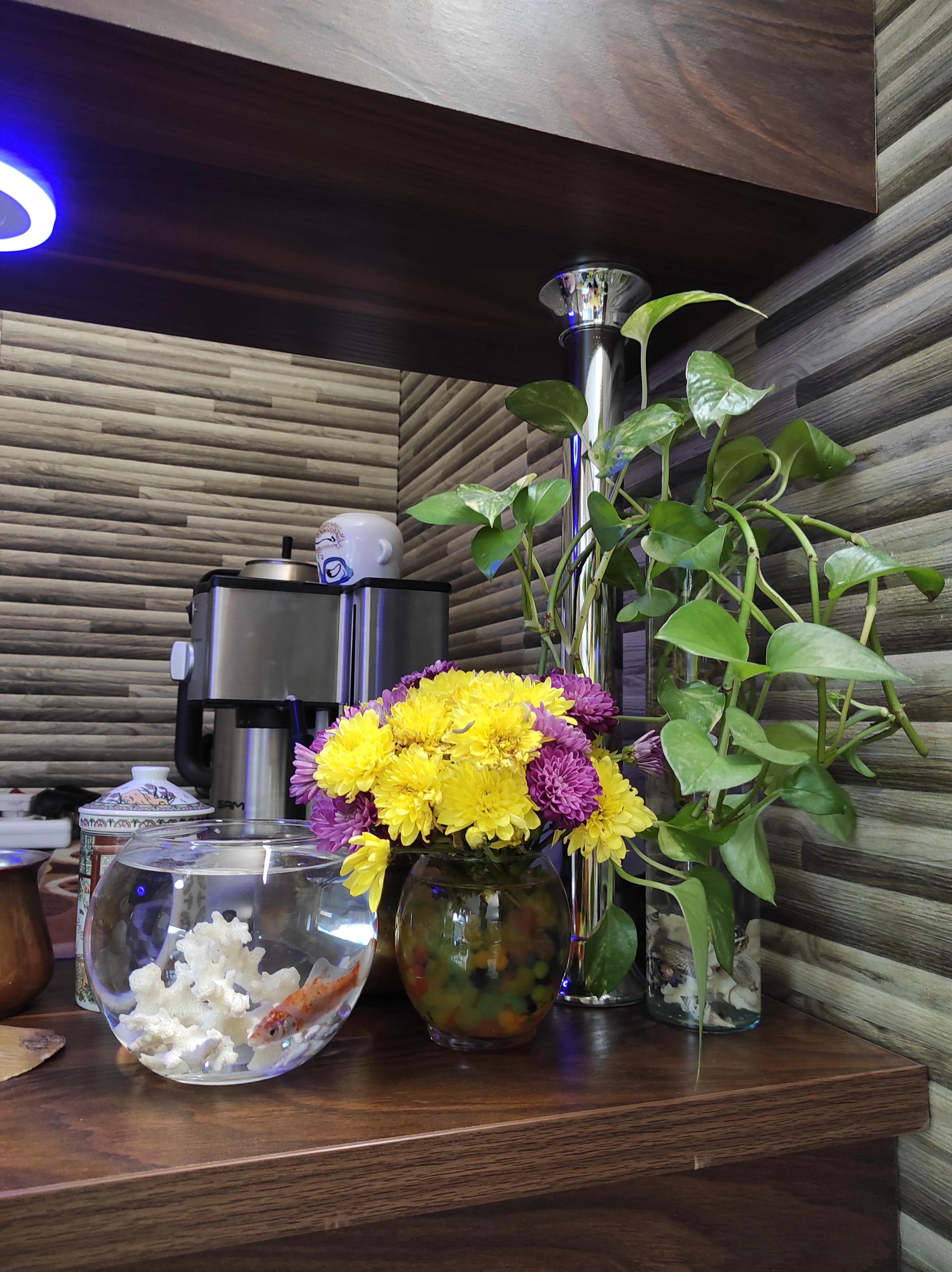 آرایشگاه آقای ساده