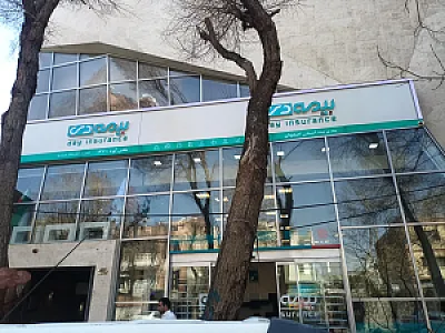 بیمه دی