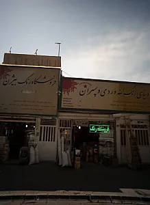 دنیای رنگ الله وردی و پسران