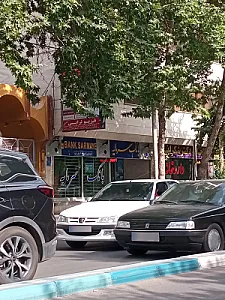 بانک سرمایه شعبه باغ نگار اصفهان