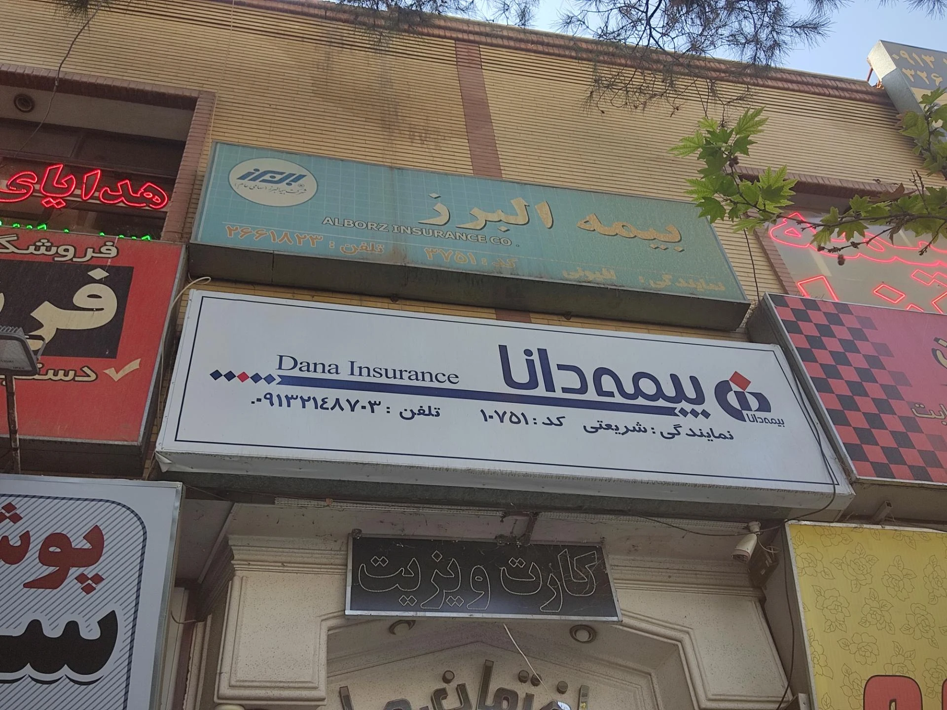 بیمه دانا نیکبخت - تصویر 4