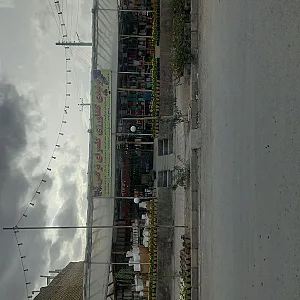 گلخانه نرگس